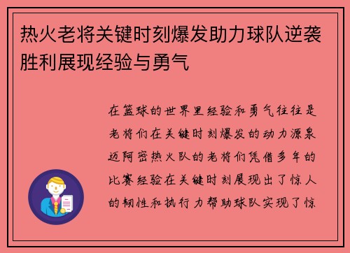 热火老将关键时刻爆发助力球队逆袭胜利展现经验与勇气