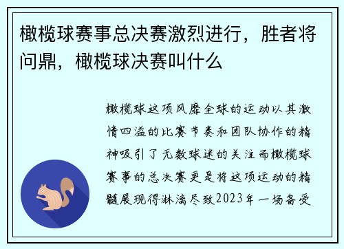 橄榄球赛事总决赛激烈进行，胜者将问鼎，橄榄球决赛叫什么