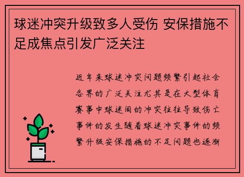球迷冲突升级致多人受伤 安保措施不足成焦点引发广泛关注