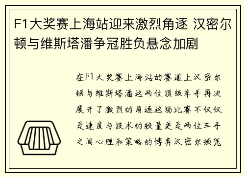 F1大奖赛上海站迎来激烈角逐 汉密尔顿与维斯塔潘争冠胜负悬念加剧